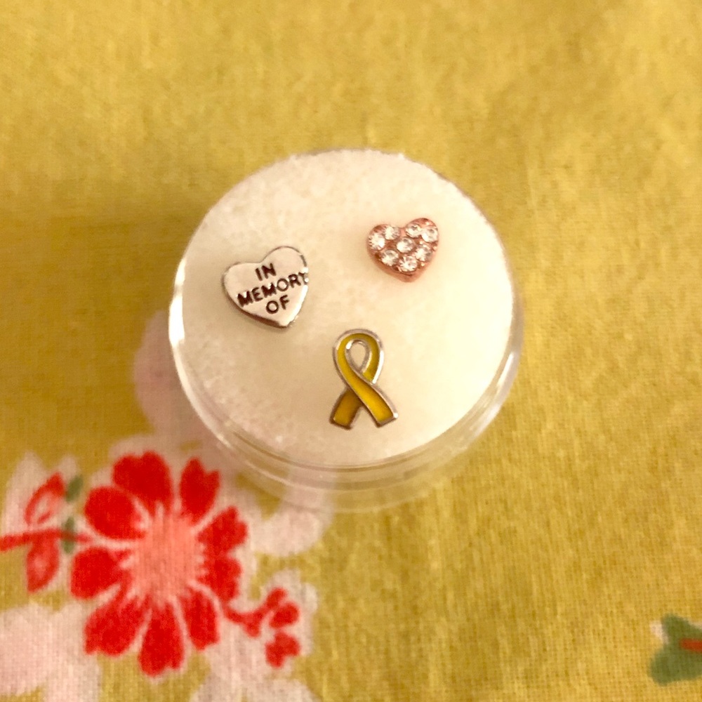 Origami owl charms